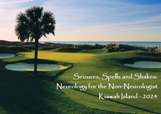 Seizures, Spells and Shakes: Neurology for the Non-Neurologist 2024 - Kiawah Banner